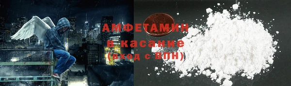 шишки Арсеньев