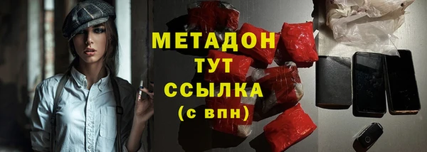 шишки Арсеньев