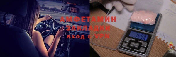 шишки Арсеньев