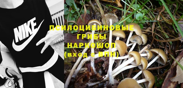 бошки Аркадак