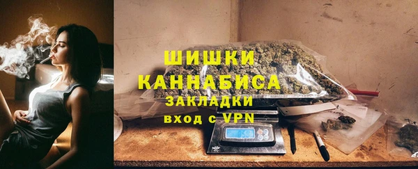 шишки Арсеньев